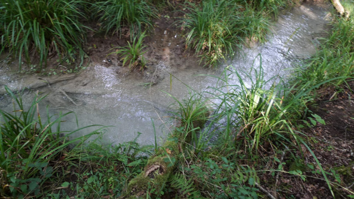 Ecologistas de Asturias: A la minera le sale barato contaminar la playa de Espasa y el rio en Colunga - Concejo de Colunga