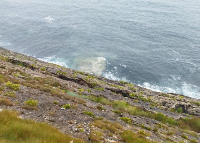 Ecologistas de Asturias: Más vertidos de la depuradora de Llanes - Ecología y Medioambiente