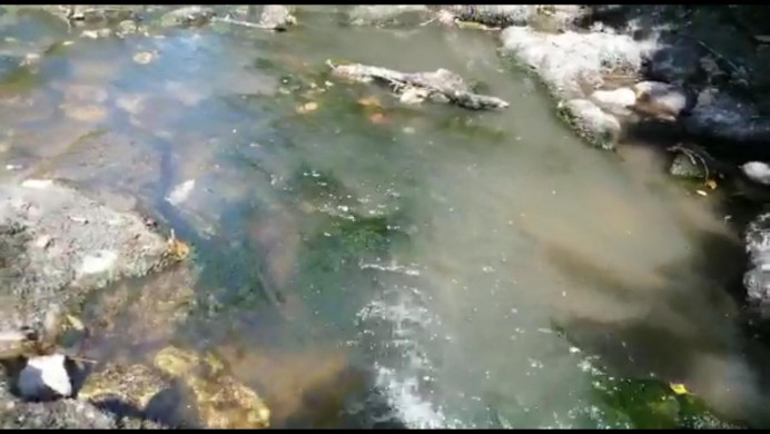 Sancionan a Cangas de Onis por los vertidos al río Sella - Concejo de Cangas de Onís