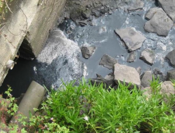 Nuevos vertidos contaminantes al espacio natural de la ría de Villaviciosa - Concejo de Villaviciosa