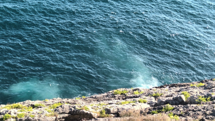 Ecologistas de Asturias: El Principado sigue vertiendo las aguas residuales de Llanes debajo del paseo de San Pedro con el grave impacto ambiental que suponen - Ecología y Medioambiente