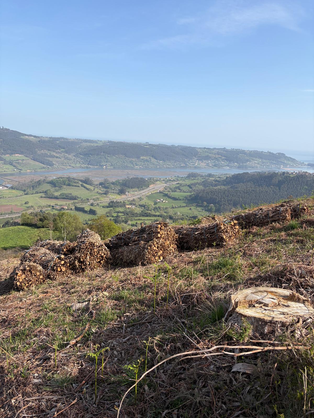 Villaviciosa reforzará la prevención de incendios aprovechando la actividad forestal - Concejo de Villaviciosa