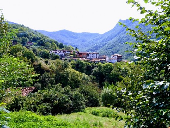 Fomento despliega en Ponga la primera ruta de transporte a demanda para facilitar el acceso a los servicios en las zonas rurales - Concejo de Ponga