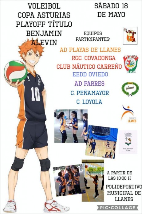 Deporte Llanes: Copa Asturias Voleibol Benjamín y Alevín - Concejo de Llanes