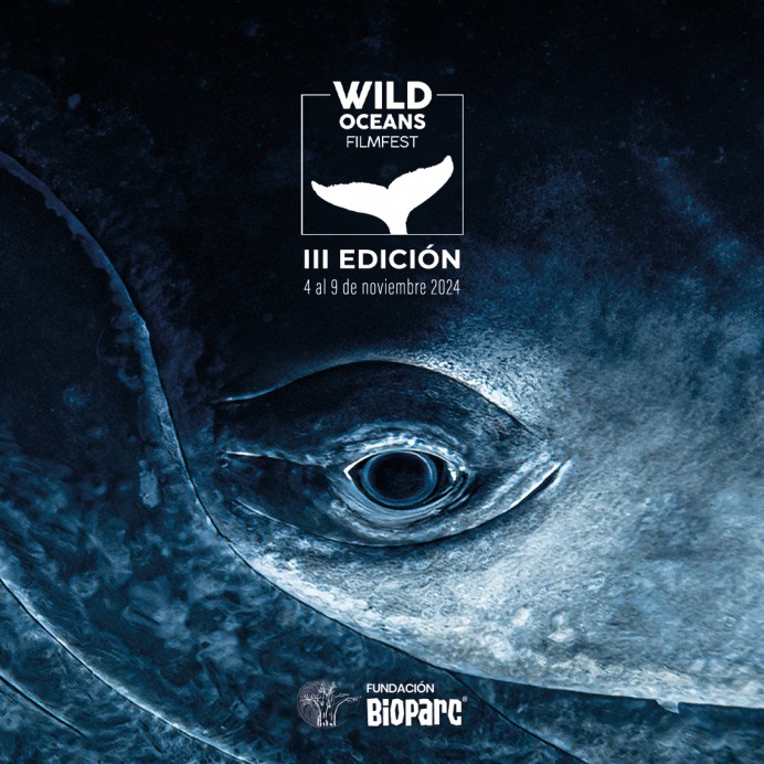 De los microplásticos a la economía azul: el Wild Oceans FilmFest explora los desafíos y misterios de los océanos - Ecología y Medioambiente
