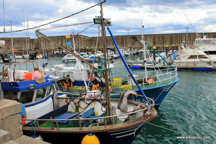 Continúa la polémica sobre el reparto de la cuota de la xarda - Asturias