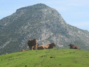 Productos fitosanitarios. Charla y curso. - Concejo de Llanes