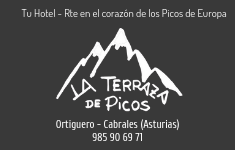 Hotel Restaurante La Terraza de Picos